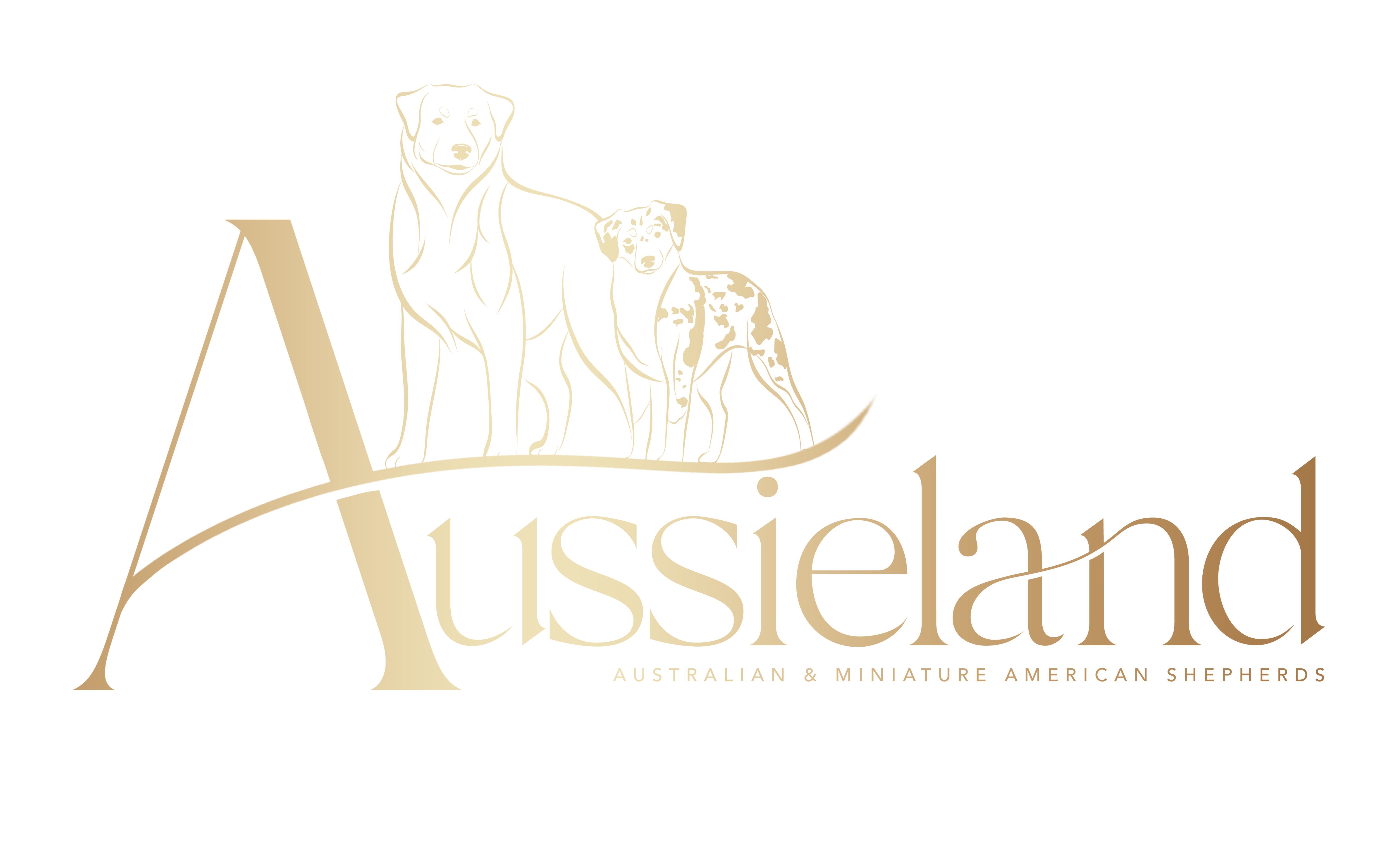 Australsk ovk; Chovatelsk stanice australskch ovk